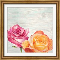 Framed 'Funky Roses II' border=