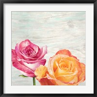 Funky Roses II Framed Print