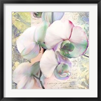 Framed 'Kaleidoscope Orchid (detail)' border=