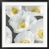 Poppies on Chalkboard II Framed Print