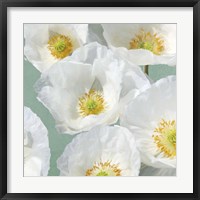 Poppies on Mint II Framed Print