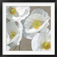 Framed 'Poppies on Taupe I' border=