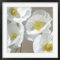 Framed Poppies on Taupe I