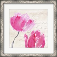 Framed 'Classic Tulips II' border=