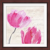 Framed 'Classic Tulips II' border=