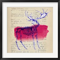 Memories of the Wild III Framed Print