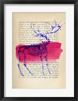 Memories of the Wild III Framed Print