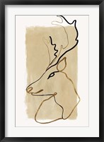 Antlers II Framed Print