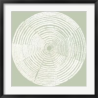 Circles of Life I Framed Print