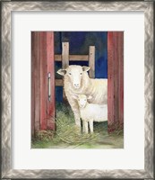 Framed 'Farm Family Sheep' border=