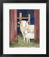 Framed 'Farm Family Sheep' border=