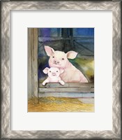 Framed 'Farm Family Pigs' border=