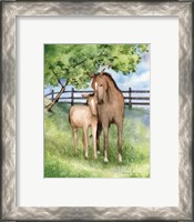 Framed 'Farm Family Horses' border=