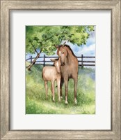 Framed 'Farm Family Horses' border=