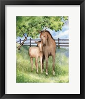 Framed Farm Family Horses