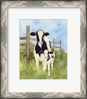 Framed 'Farm Family Cows' border=