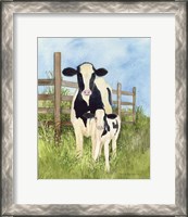 Framed 'Farm Family Cows' border=