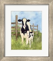 Framed 'Farm Family Cows' border=