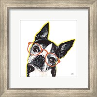 Framed 'Bespectacled Pet IV' border=