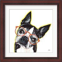 Framed 'Bespectacled Pet IV' border=