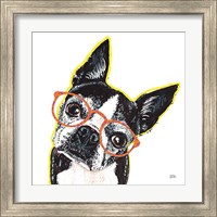 Framed 'Bespectacled Pet IV' border=