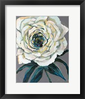 Framed Rose