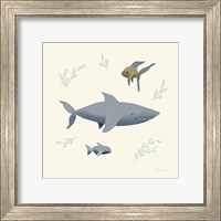 Framed Ocean Life Shark