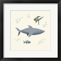 Ocean Life Shark Framed Print