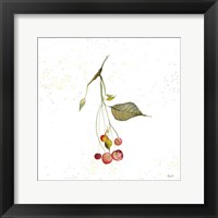 Botticelli Plants III Framed Print