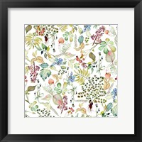 Framed Botticelli Plants I