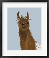 Framed Delightful Alpacas II