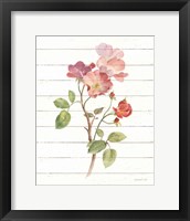 Framed 'Sprigs of Summer I' border=