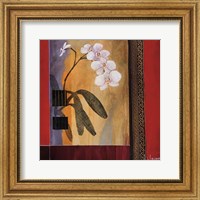 Framed 'Orchid Lines I' border=