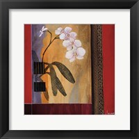 Framed Orchid Lines I