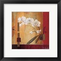 Framed 'Orchid Lines II' border=