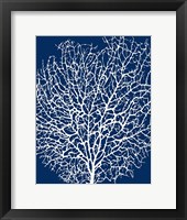 Navy Coral II Framed Print