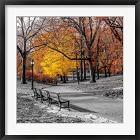 Framed 'Park Pretty I' border=