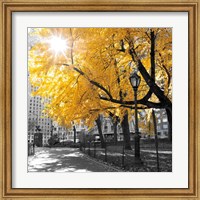 Framed 'Park Pretty II' border=