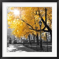 Park Pretty II Framed Print