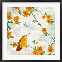 Birds and Butterflies III Framed Print