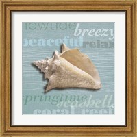 Framed 'Beach Collection IV' border=