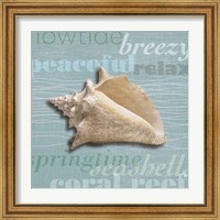 Framed 'Beach Collection IV' border=