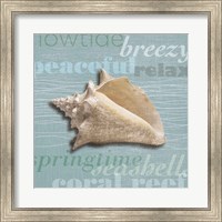 Framed 'Beach Collection IV' border=