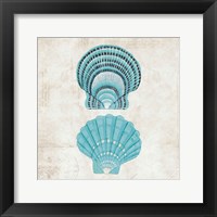 Under the Sea III Framed Print