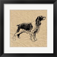 Spaniel Framed Print