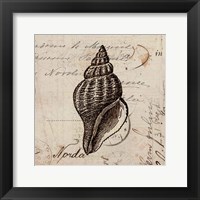 Ocean Collection I Framed Print