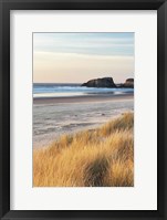 Framed Dune Grass And Beach I