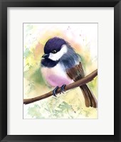 Framed Chickadee II