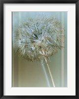 Flaura I Framed Print