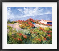 Framed Spring Poppies